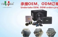 意大利特伦诗汽车音响：赞助支持，共筑音雄梦想舞台