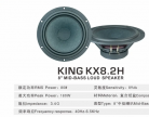 丹笛DANTY KX8.2H八寸中低音，无损升级解决原车喇叭先天短板