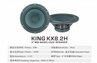丹笛DANTY KX8.2H八寸中低音，无损升级解决原车喇叭先天短板